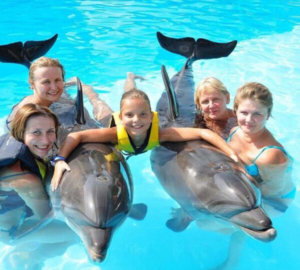 Dolphin Show Hurghada