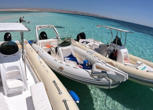 4-hour Speed Boat With Dolphins