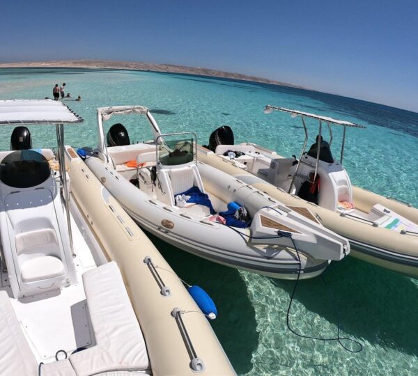 4-hour Speed Boat With Dolphins